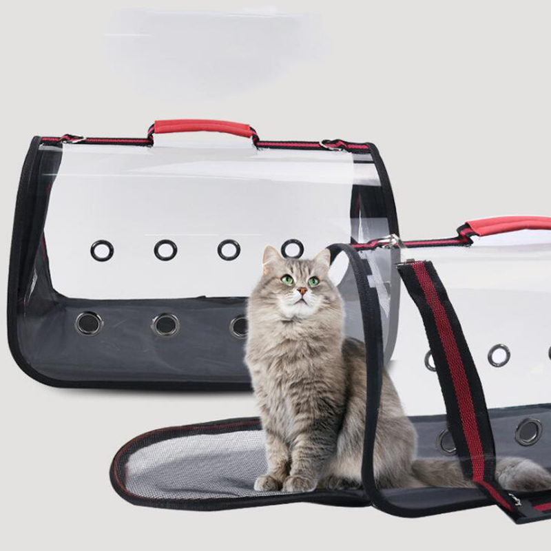 2021 new style dog inventions Transparent Breathable Design Pet cat traveling shoulder bag dog carrier backpack