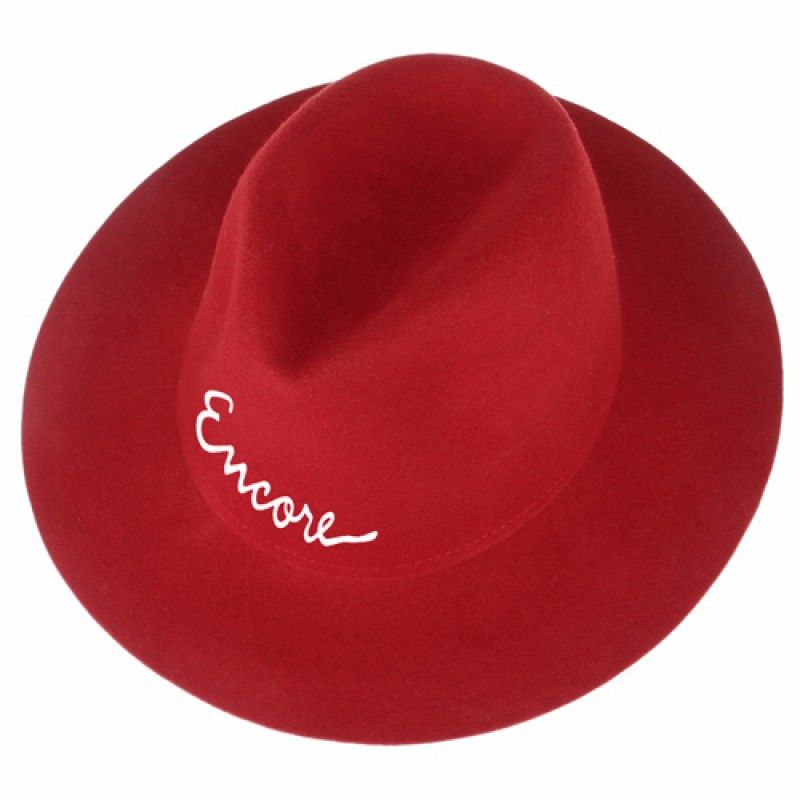 Wholesale Wide Brim Women Wool Hat