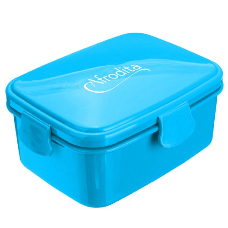 Wholesale 700ml Divided Lunch Box