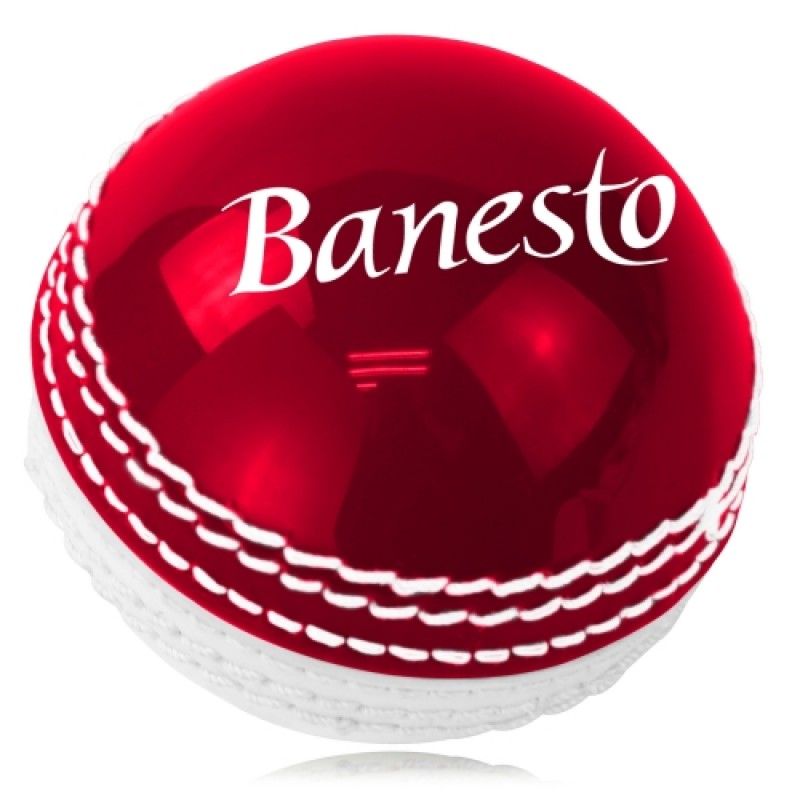 Wholesale Double Color Leather Cricket Ball