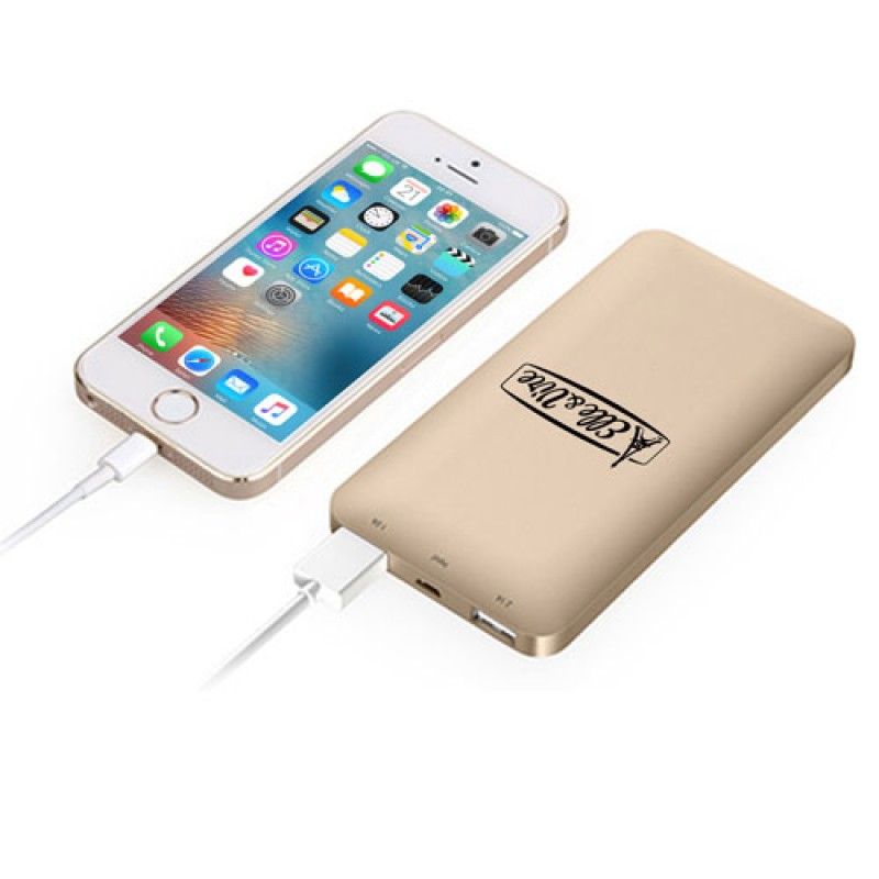 Wholesale Dual USB Metal 5000mAh Power Bank