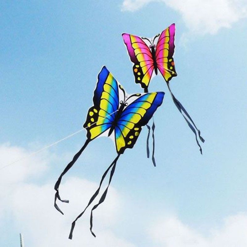 Wholesale Butterfly 2pcs/lot Kite with Hand Line