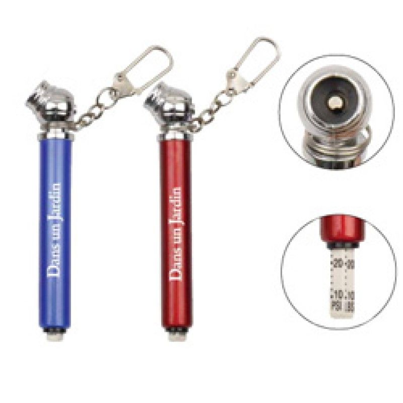 Wholesale Tyre Gauge with Keychain