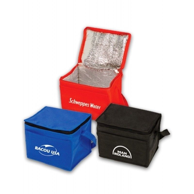 Insulated 6 Pack Cooler Bag