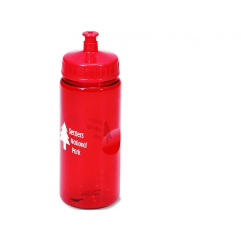 Mini Mountain Sport Bottle- 22 oz.